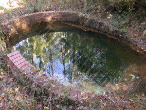 The Spring at Boiling Spring Lakes